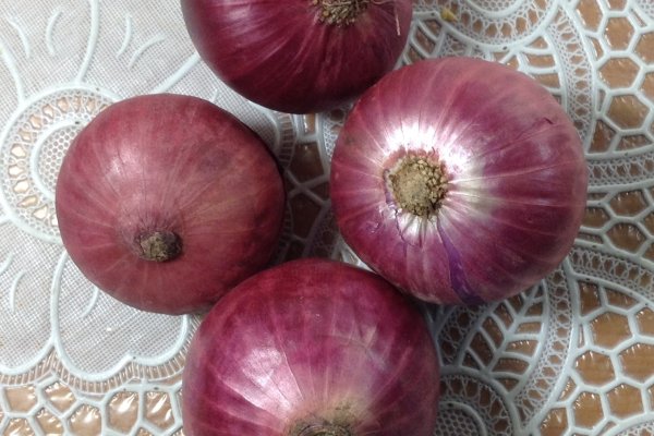 Kraken рабочая ссылка onion