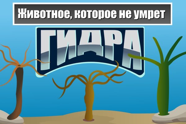 Официальный сайт даркнет