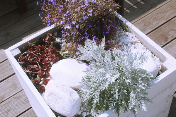 Кракен клир ссылка