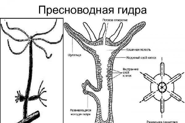 Кракен даркнет тг