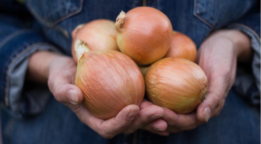 Вход в кракен чтобы купить меф