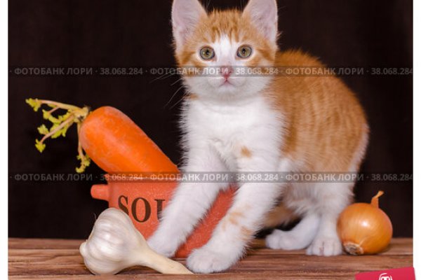 Kraken 19 at сайт